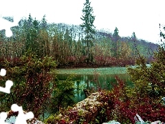 Szmaragdowa, Woda, Drzewa