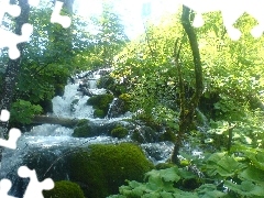 Plitvice, Drzewa, Wodospad, Kamienie