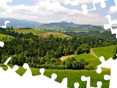 Las, Pagórki, Łąka