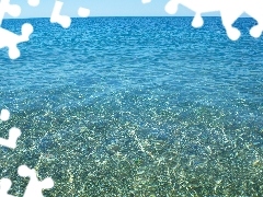 Ocean