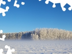 Mgła, Zima, Las
