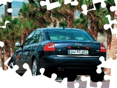Palmy, Audi A6