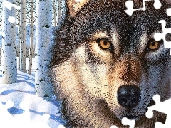 Zima, Wilk