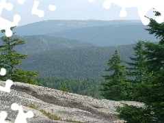 Widok, Góry, Skała, Świerki