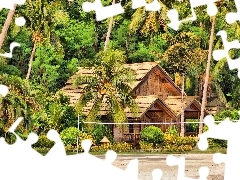 Davao, Kurort, Wyspa Samal, Palmy, Filipiny, Domek