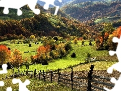 Łąki, Pola, Góry, Jesień, Lasy