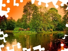 Park, Drzewa, Rzeka