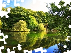 Drzewa, Jezioro