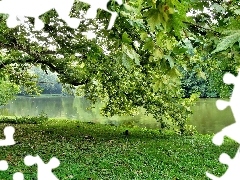 Rzeką, Klony, Nad