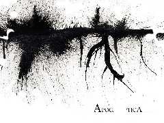 nazwa zespołu, Apocalyptica