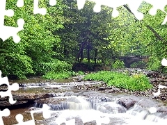 Drzewa, Rzeka