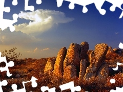 Mojave, Kalifornia, Pustynia