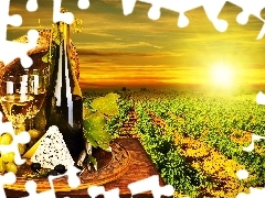 Ser, Wino, Zachód, Farma, Słońca