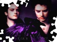 niebieskie oczy, ptak, Elijah Wood