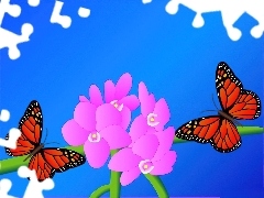 Kwiaty, Motyle