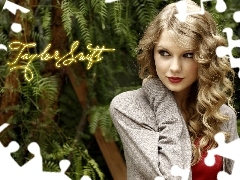 Wokalista, Taylor Swift