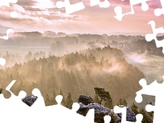 Mgła, Las, Skały, Drzewa