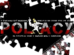 Patriot, Kibice, Polacy