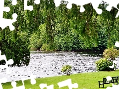 Zieleń, Ławka, Park, Jeziorko