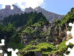 Las, Skały, Góry