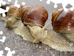 Spacer, Slimaki