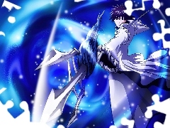 Arrancar, Shiba Kaien