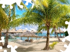 Domki, Hamak, Plaża, Palmy