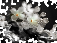 Fractalius, Bez
