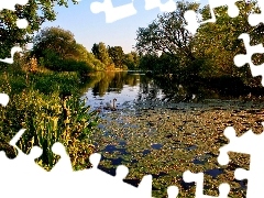 Łabędzie, Zieleń, Jezioro