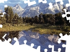 Jeziorko, Las, Góry