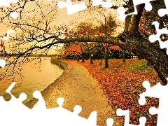 Park, Jesień, Rzeka