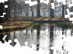 Las, Poranek, Jezioro
