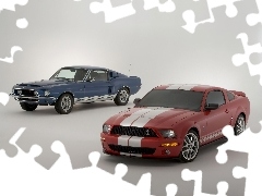 Ford Mustang, Shelby