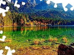 Las, Jezioro, Góry