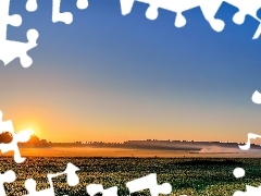 Łąka, Mgła, Wschód, Słońca