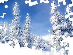 Zima, Śnieg, Las