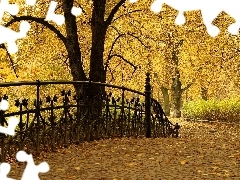 Aleja, Mostek, Park, Jesienią