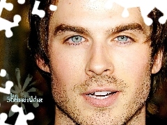 Pamiętniki, Wampirów, Ian Somerhalder