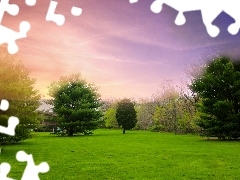 Park, Drzewa, Krzewy, Zielone