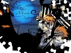 D.Gray-Man, Egzorcyści