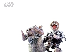 aktor, tło, zima, Star Wars, stwór, białe