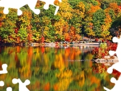 Jesienny, Las, Jezioro