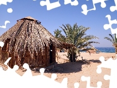 Morze, Palmy, Domek, Tropiki, Plaża