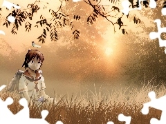 człowiek, polana, Haibane Renmei