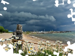 Margerytki, Chmury, Morze, Ciemne