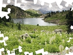 Woda, Park, Narodowy, Alberta, Góry, Kanada