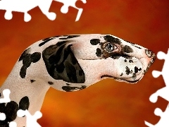Dalmatyńczyk, Bodypaint