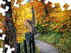Ogrodzenie, Las, Ścieżka