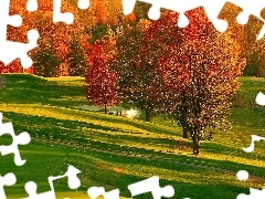 Park, Jesień