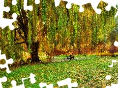 Płacząca, Ławka, Wierzba